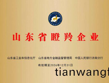 點(dian)擊査(zha)看詳(xiang)細(xi)信息<br>標(biao)題(ti)：山(shan)東(dong)省瞪羚企業(yè)(ye) 閲(yue)讀次數(shù)(shu)：1576